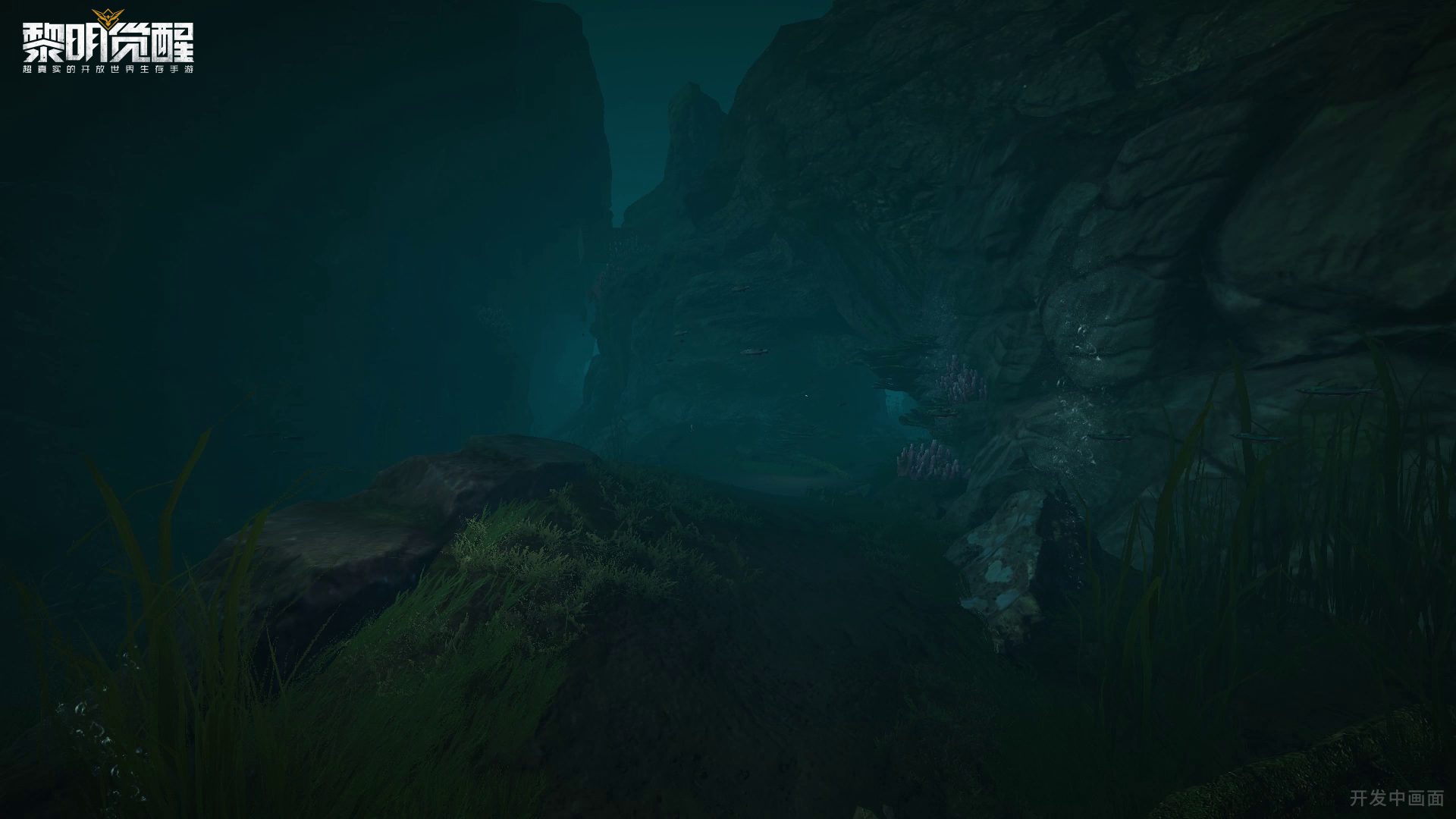 【绝密爆料】踏足未知海底秘境！畅想海底赢取QB大奖！