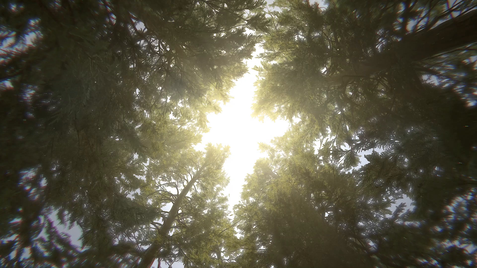 《黎明觉醒》终极测试，今日正式开启！