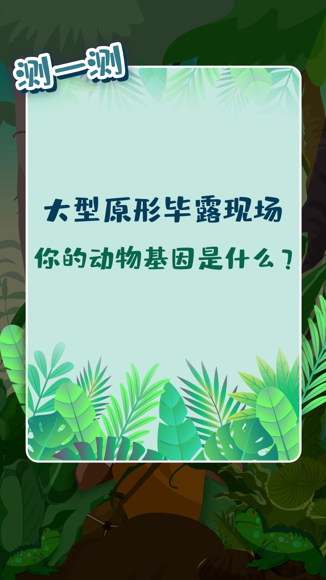 大型原形毕露现场 测一测你的动物基因是什么？我是可爱的兔子