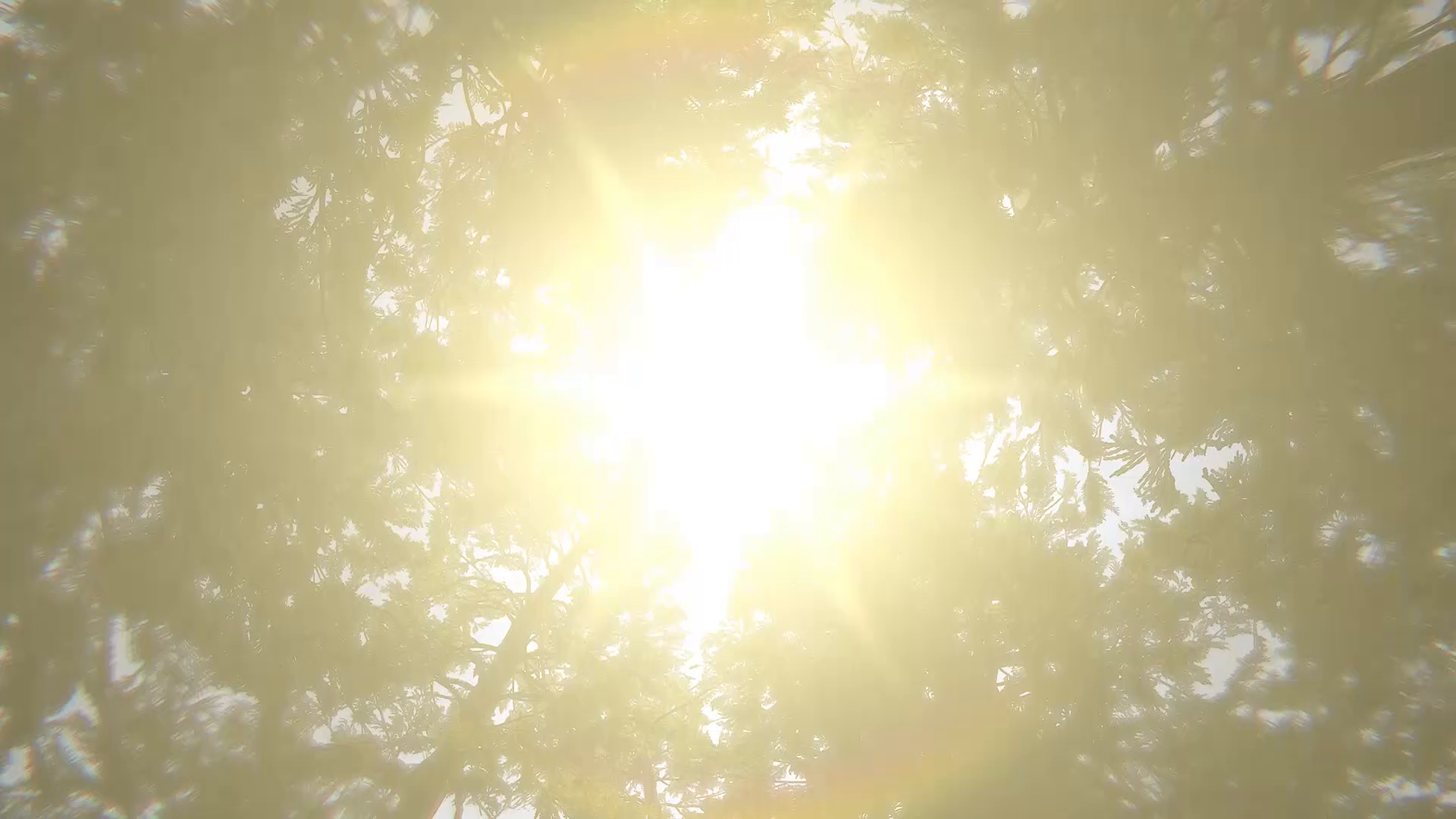 实录漫游 | 两分钟领略开放大世界之美