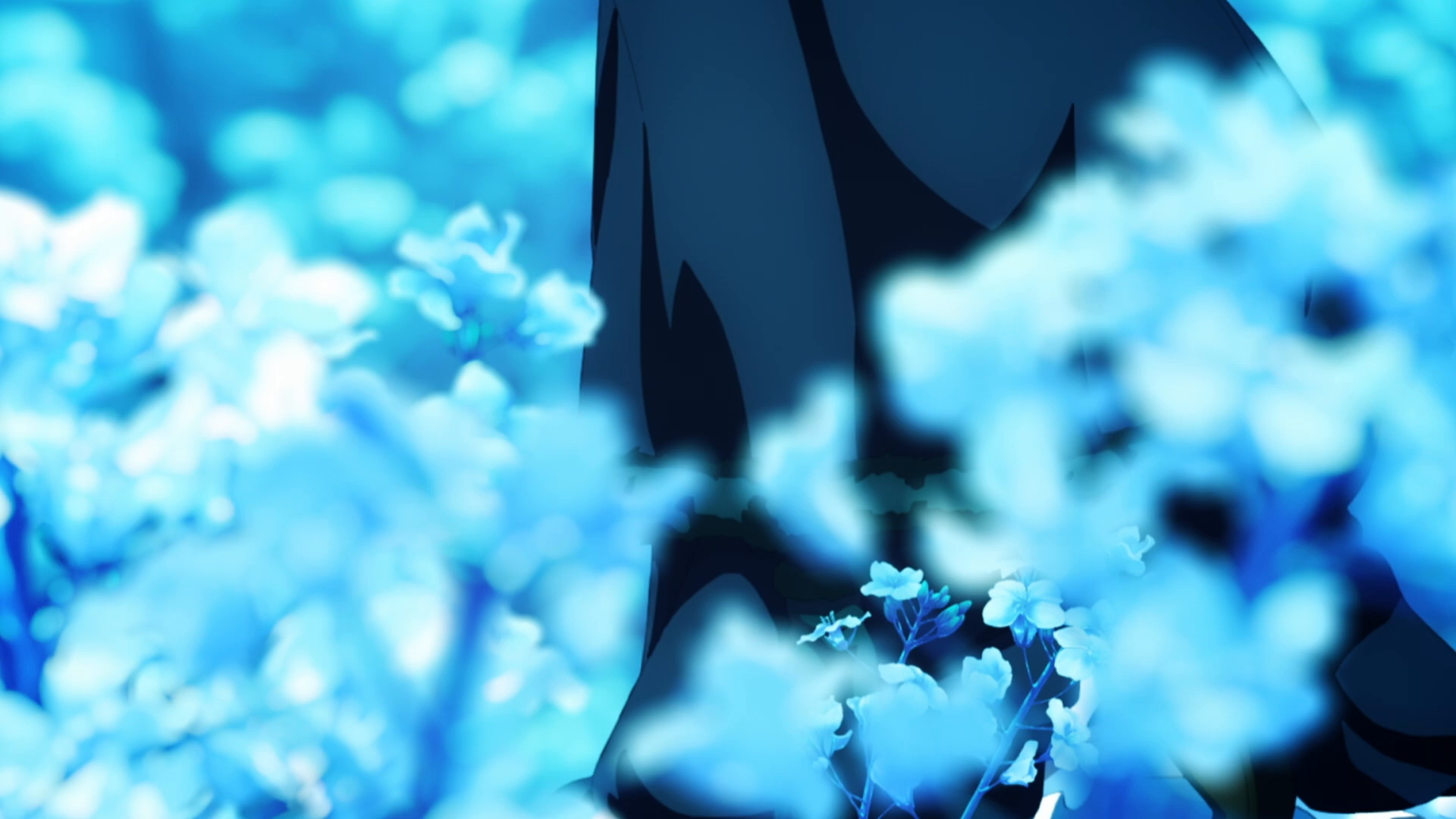 『魔法使いの夜』ティザーPV