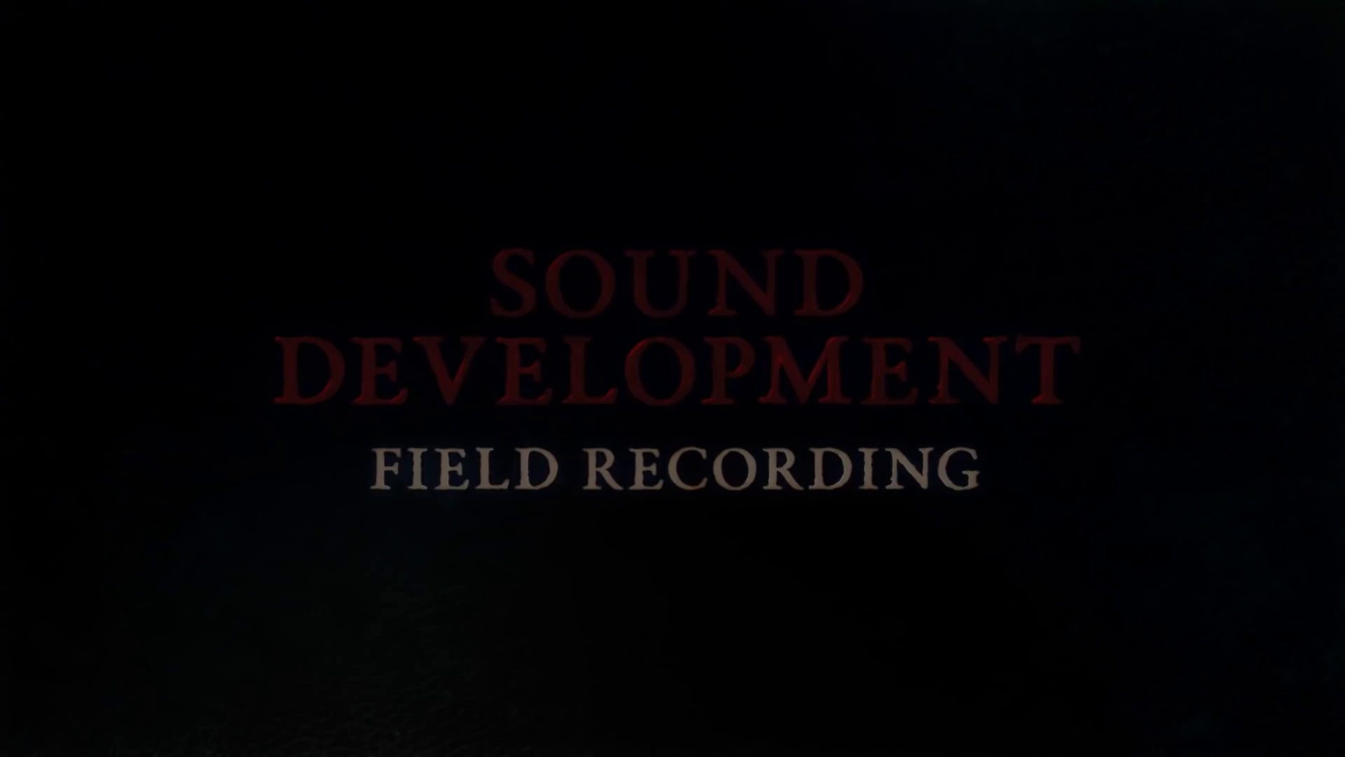 《暗黑破坏神4》配音录音视频1