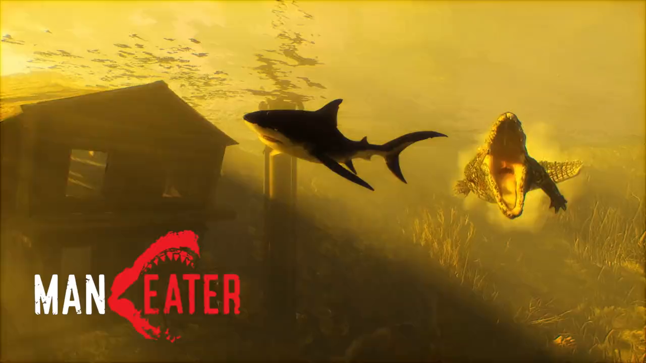 Epic summer showcase