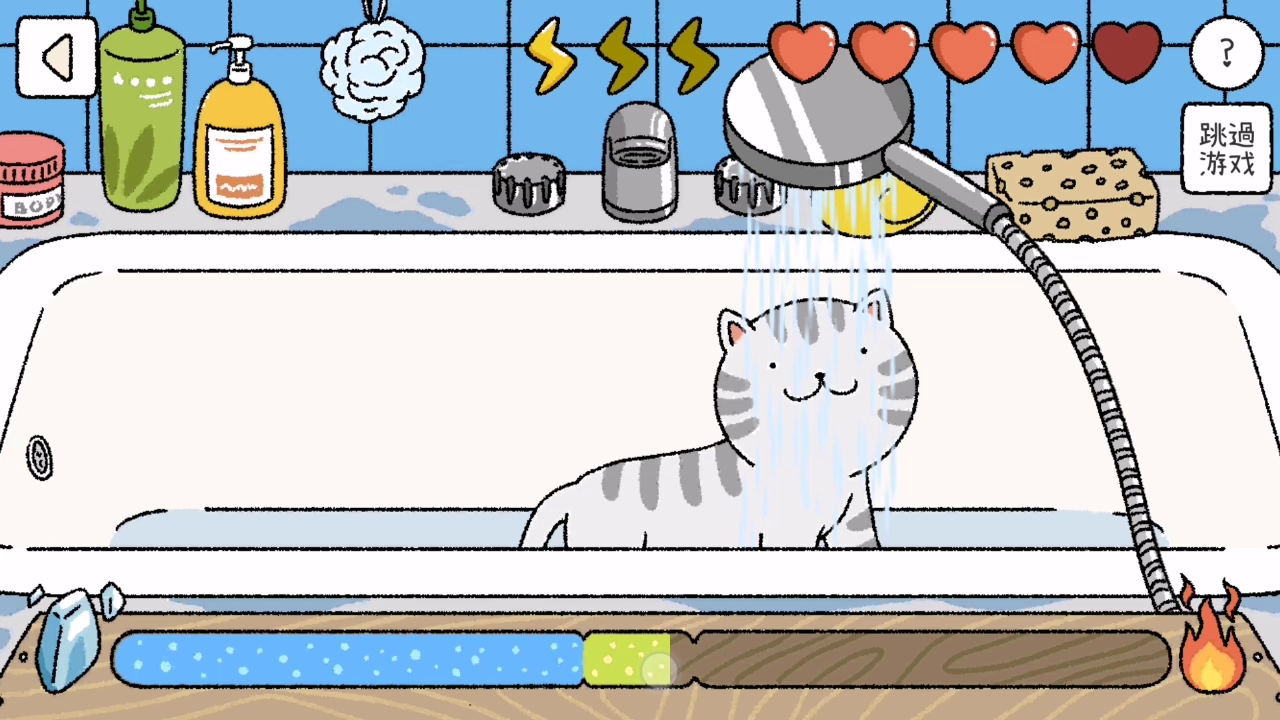 如何正确给猫咪洗澡