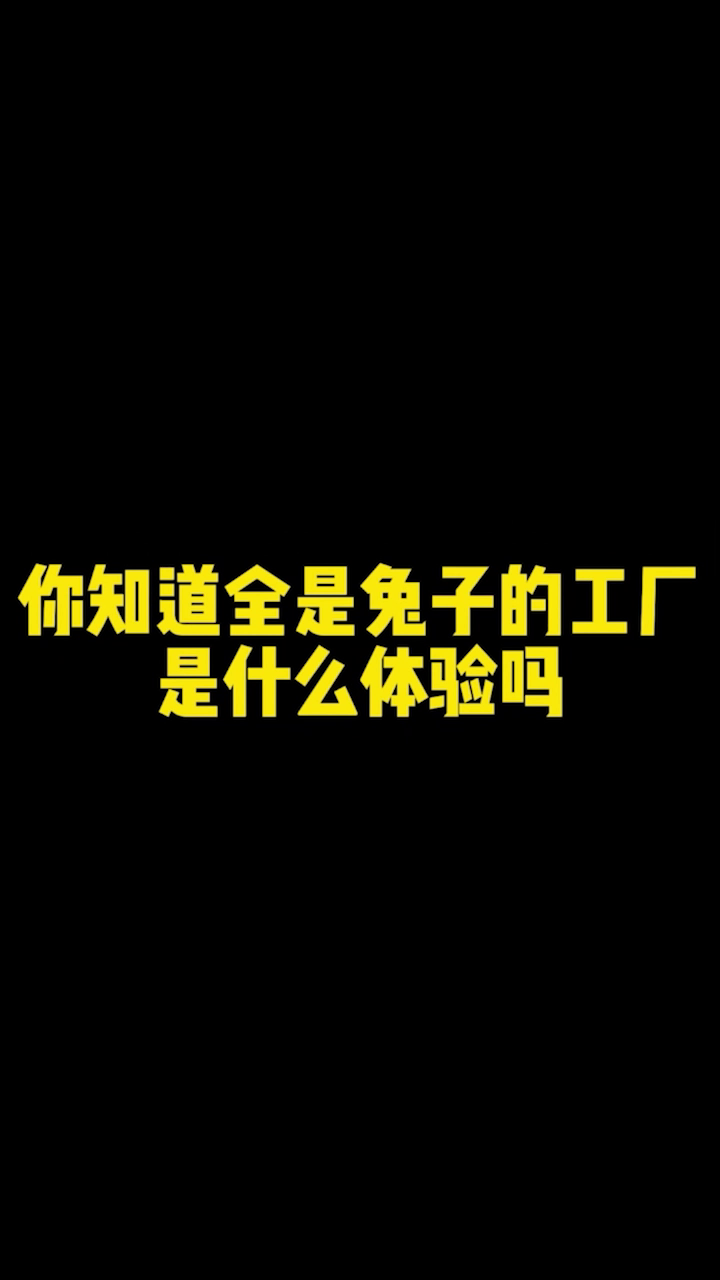 你知道全是兔子🐰的工厂是什么体验吗？