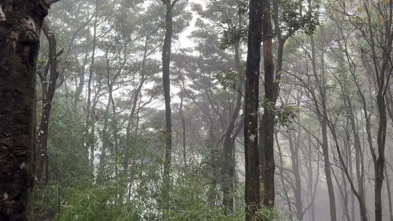 这是不是命运对我的惩罚