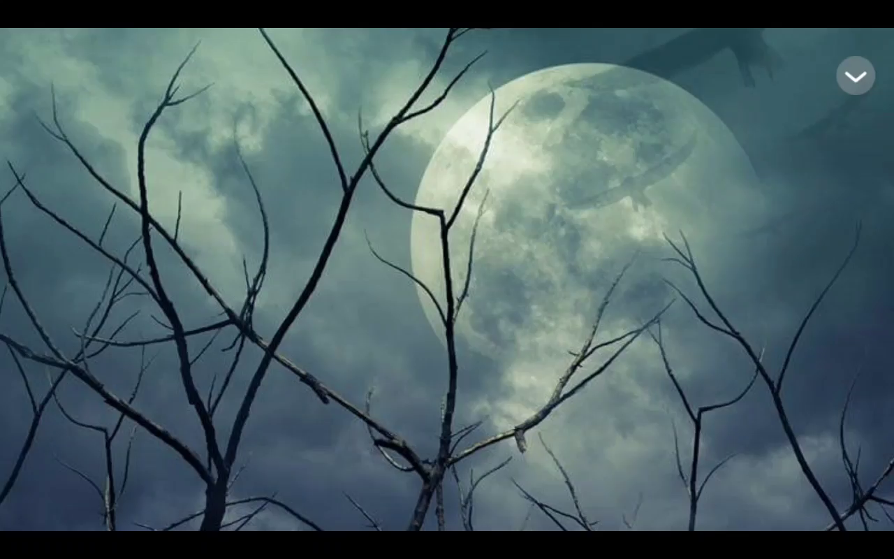 2.26橙光推荐—竹本无心截图