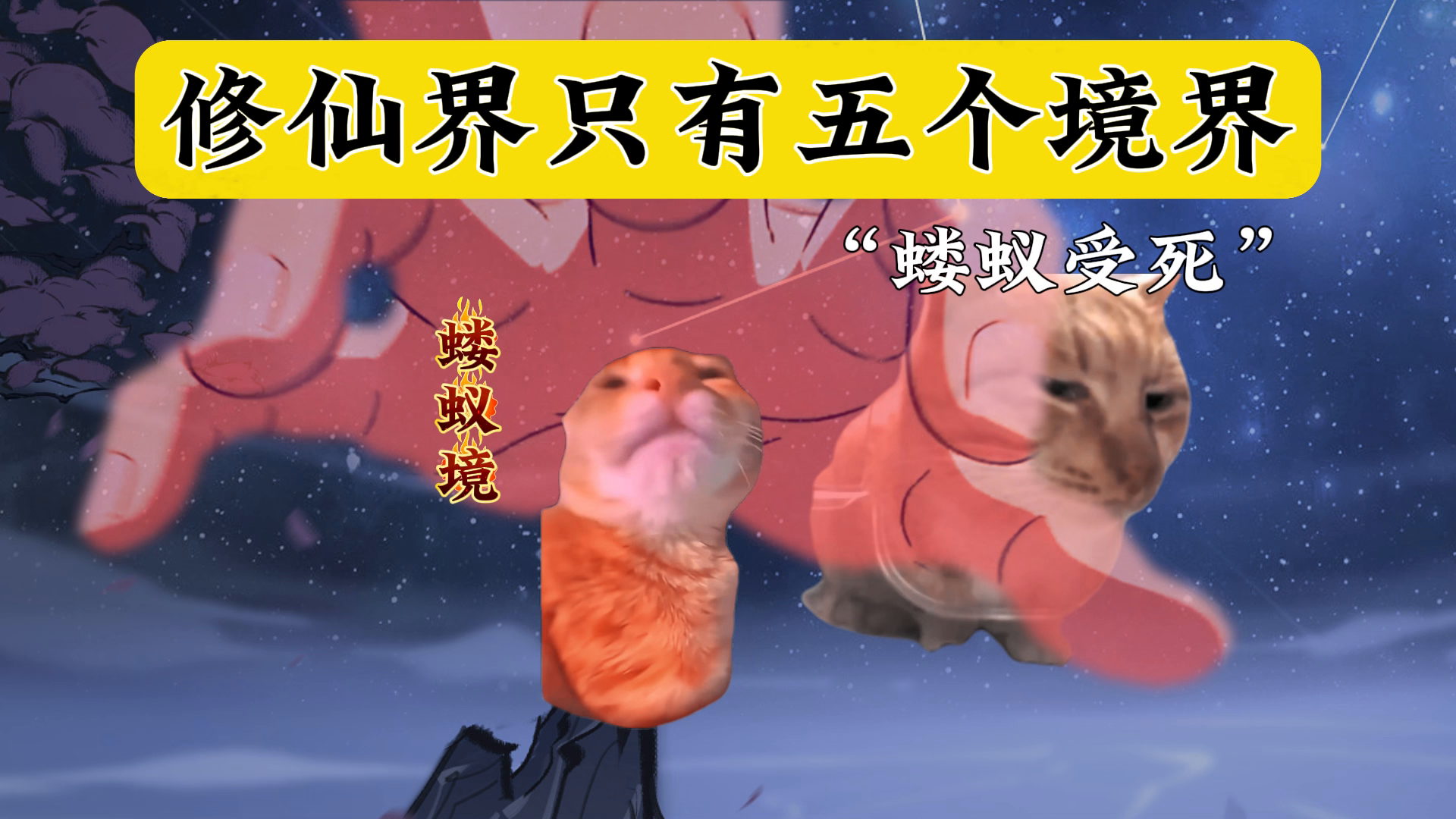 修仙五大境界，蝼蚁/小友/道友/前辈/老祖！