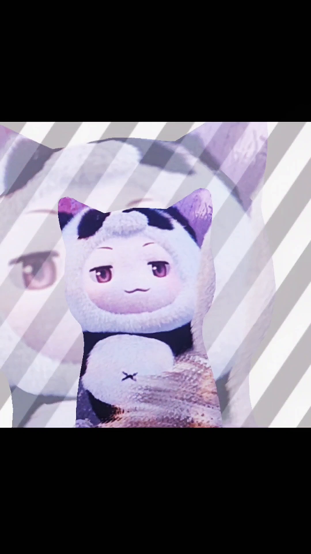 “大喵快把手机还给人家”